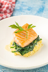 Grilled salmon fillet with vegetable mix on a white porcelain plate