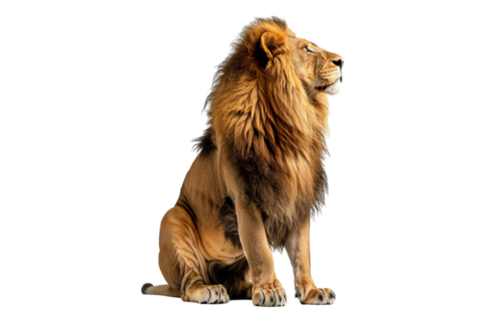 Side view of line isolated on transparent background