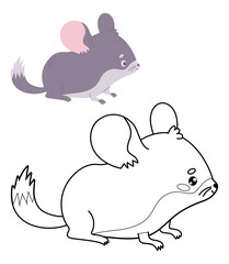 Cute chinchilla. Outline and color cartoon kawaii animal rodent character. Line drawing, coloring book. Vector illustration. Kids collection