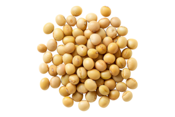 Soy beans isolated on transparent background