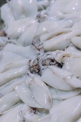 Calamares frescos limpios