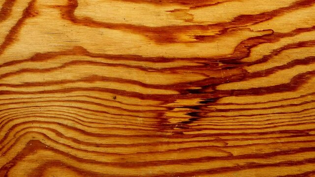 background of wood with grain,vertically camera drive from left to right