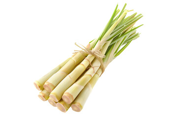 Fototapeta premium Bundle of fresh lemongrass stalks, tied together with twine, and isolated against a white background.