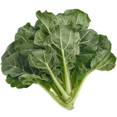 Fresh Collard Green isolated on white.