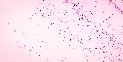 Revel in the Vibrant and Joyful Symphony of Colors in an Abstract Creation
