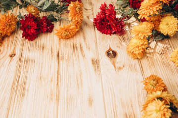 Floral background. Yellow and red chrysanthemums on a light wooden background. A bright bouquet of autumn flowers. Front view