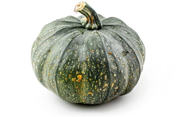 A green and yellow pumpkin sitting on a white surface, great for autumn or harvest-themed images