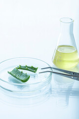 Pieces of aloe leaves in a petri dish on a glossy white surface, next to a metal tweezers and a flask, vertical image, selective focus.