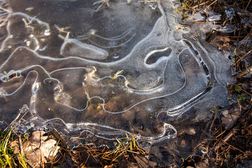 Gefrorenes Wasser in einer Pfütze mit Luftblasen
