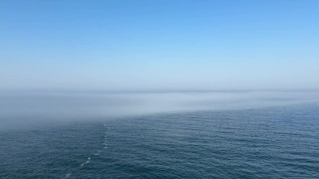 Flock of birds fling in the sky above misty sea.