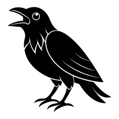crow bird screams vector illustration