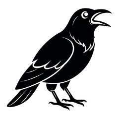 crow bird screams vector illustration