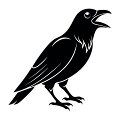crow bird screams vector illustration