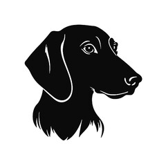 dachshund dog vector illustration isolated on white