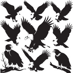 silhouettes of eagle