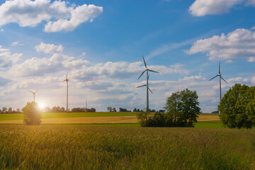 Wind generators under the blue sky at sunset.