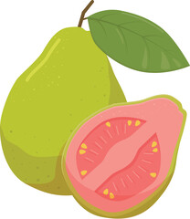 Flat vector Guava EPS