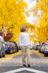 Fototapeta premium Kid walking on autumn street. Beautiful Kid in Autumn Park Outdoor. Childhood, autumn and leisure. Fall foliage.