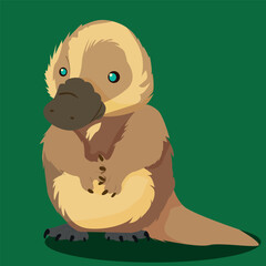 Baby platypus vector illustration of wildlife animals.