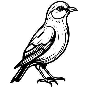 recommend clip art: bird monochrome hand drawn line illustration, transparent background