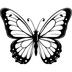 butterfly of hand drawn line illustration, transparent background