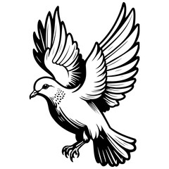 cartoon dove drawing, vintage line illustration, vector image