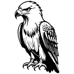 cartoon eagle drawing, vintage line illustration, vector image