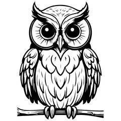 cartoon owl drawing, vintage line illustration, vector image