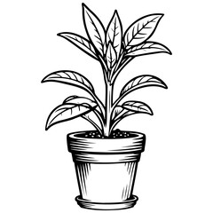 cartoon plant black hand drawn line illustration, transparent background