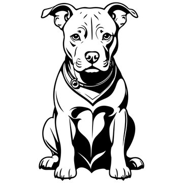 cartoon pitbull vector hand drawn line illustration, transparent background