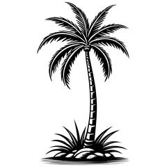 Drawing palm tree monochrome outline drawing, realistic tattoo painting on transparent background