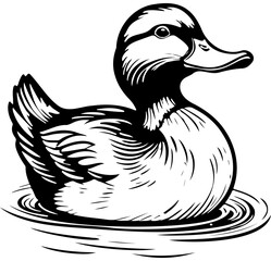 duck sketches hand drawn line illustration, transparent background