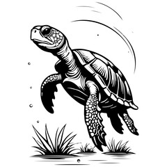 Isolated turtle ink hand drawn line illustration, transpiderarent background