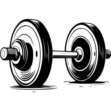 Isolated barbell hand drawn line illustration, transparent background