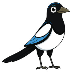 Magpie Bird Color Cartoon Vector for various uses