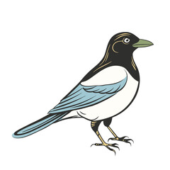 Magpie Bird Color Vector for various uses