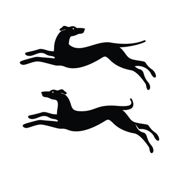 Spanish galgo, Greyhound black dog logo design icon vector template