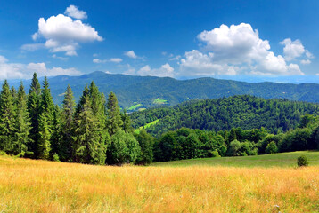 Wonderful countryside landscape of carpathians. Meadow on a sunny day in mountains. Fluffy clouds on the sky. View of the Luban range in the Gorce Mountains, Poland.