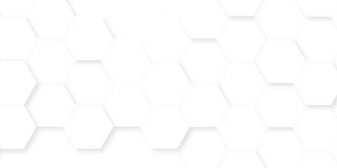 Naklejka premium Abstract background with hexagon, modern abstract vector polygonal pattern. Futuristic abstract honeycomb technology white background. Luxury white hexagon pattern.