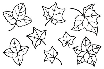 Ivy Leaf line art simple elegant nature inspired design