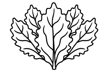 Kale Leaf line art artistic black and white illustration