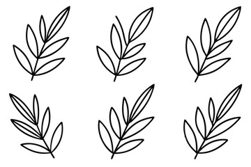 Olive Leaf line art perfect for botanical enthusiasts decor