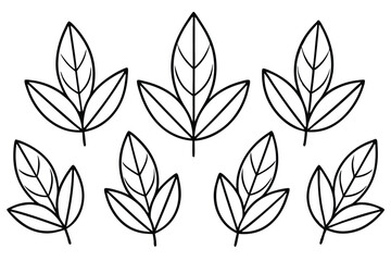 Sage Leaf line art stunning minimalist nature artwork