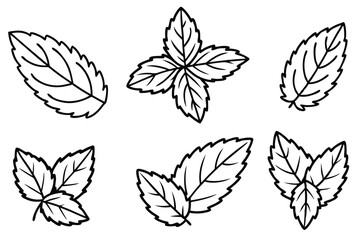 Spearmint Leaf line art stunning minimalist nature artwork