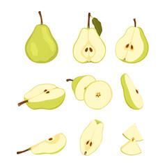 Raw green pear fruit. Ripe whole, half, quarter and slice pear. Simple hand drawn vector isolated on white background.