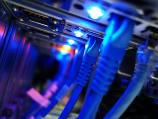 network cables connected to switch - closeup of data center hardware technology