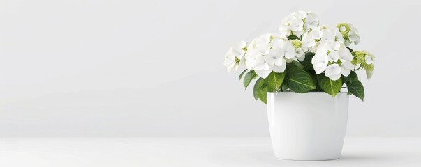Fototapeta premium Isolated white flower pot on white background mockup, 4K hyperrealistic photo