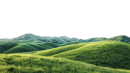 green grass hill isolated on white background