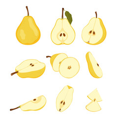 Set with raw yellow pear fruit. Ripe whole, half, quarter and slice pear. Pear blossom and fruits on branch. Simple hand drawn vector isolated on white background.
