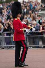 Buckingham royal guard
